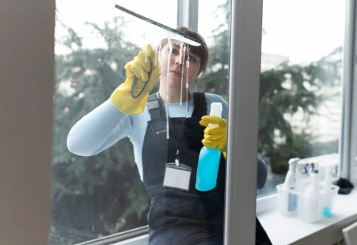 Nettoyage de vitres intérieures et extérieures à Pin